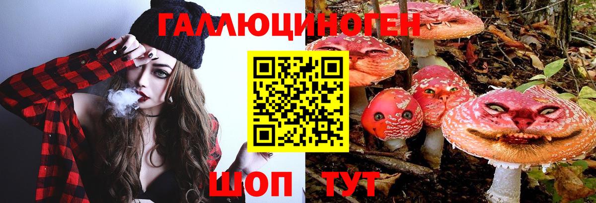 Михайловка  Псилоцибиновые грибы прущие грибы  Вход с VPN 